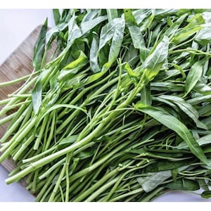water spinach seeds-hạt rau muống- 50g