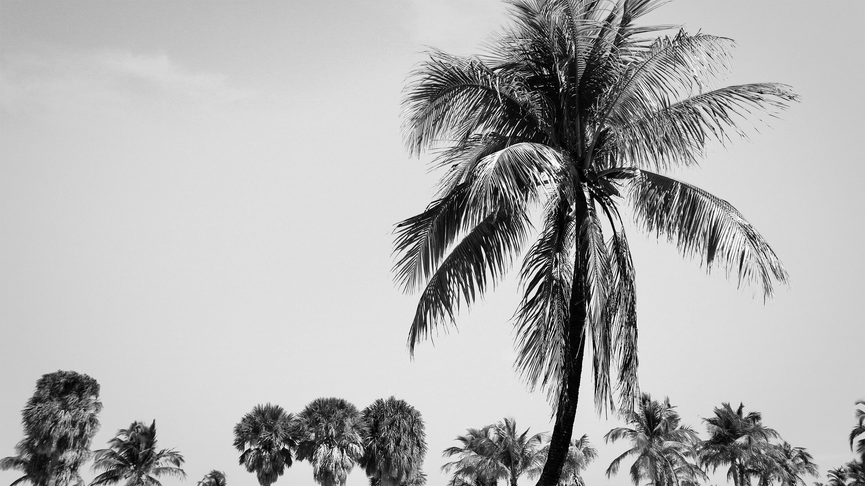 Frame TV Background, Desktop Computer Background, Digital Background ...