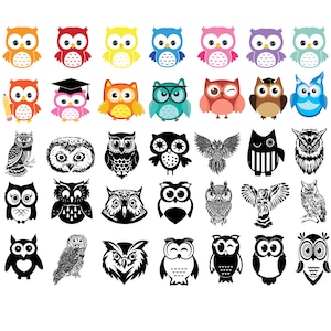 Paquete svg de búho, svg de búho, imágenes prediseñadas de búho, archivos svg de búho para cricut, silueta de pájaro svg, svg de dibujos animados de búho, svg de dibujos animados para niños, paquete png de búho, png