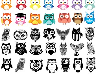 Sowa w kwiaty SVG, PNG Clipart, Cricut, Sylwetka (Pobieranie cyfrowe)