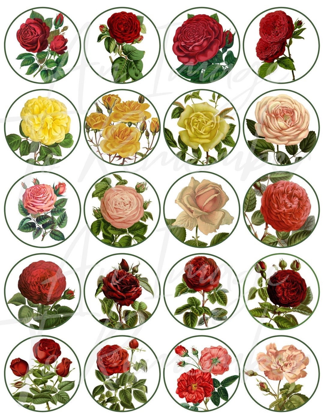 Digital Rose Gift Tags, 20 Printable Vintage Circles, Instant Download