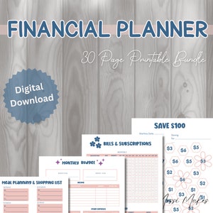 Financial Budget Instant Download Planner Printable