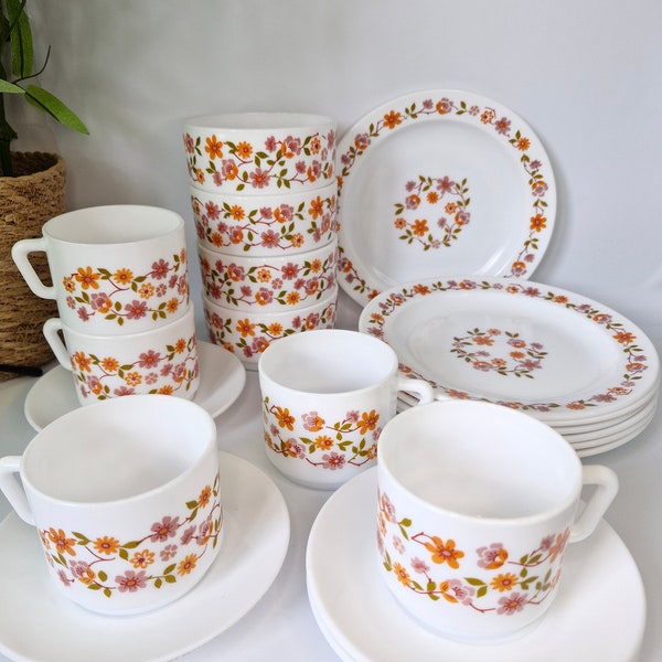 Arcopal France Scania Orange Blume Tee-Set Tassen Untertassen Teller Schüsseln Retro Milchglas Pyrex