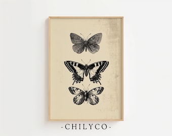 Impresión de mariposa vintage / Arte mural de Dark Academia / Arte mural de polillas / Impresión de entomología antigua / Impresión de insectos botánicos / Arte estético vintage