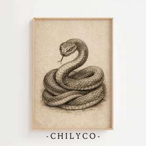 May include: A framed vintage-style print featuring a coiled snake illustration. The snake is depicted in shades of gray and brown, with its tongue extended. The artwork has a textured, aged appearance, and the frame is a light wood color. The text "-CHILYCO-" is at the bottom.