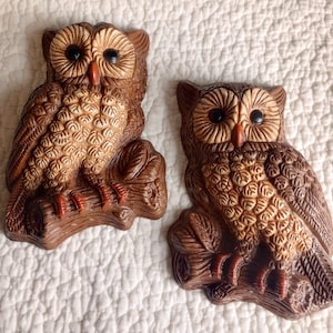 May include: Two brown owl wall decorations. Each owl is perched on a branch, with detailed feather patterns and a reddish-orange beak and claws. The owls have large, dark eyes and are made of a textured material.