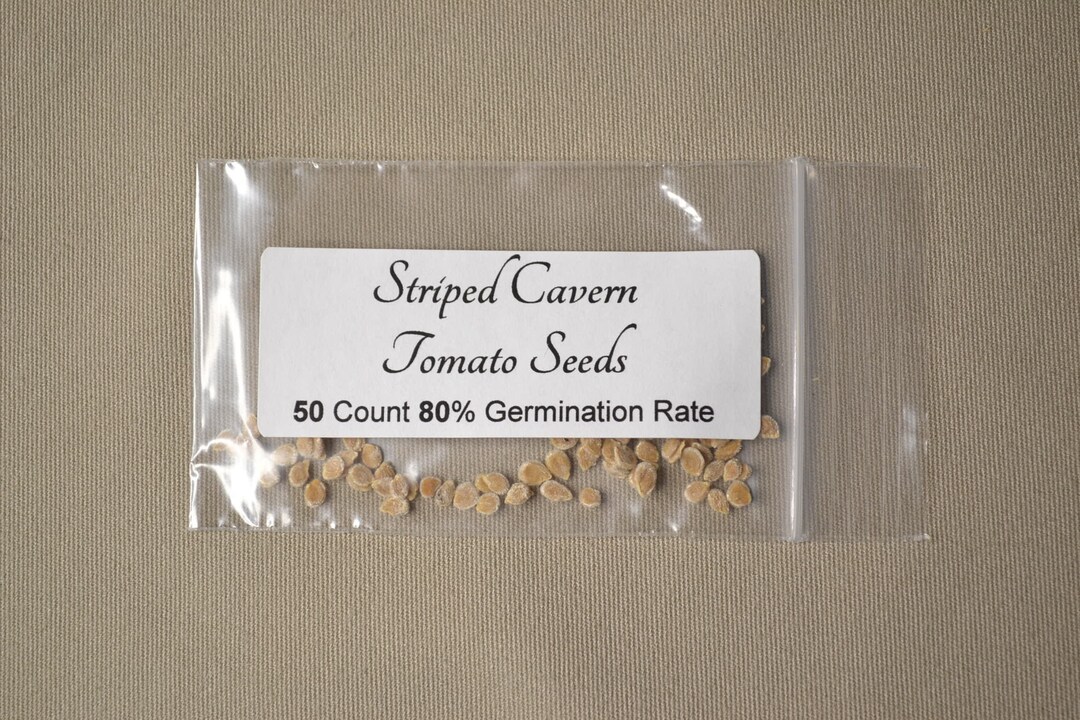 Striped Cavern Tomato Seeds 50 Seeds Heirloom Tomato Seeds Rare Tomato