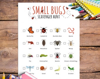 Small Bugs Scavenger Hunt for Kids