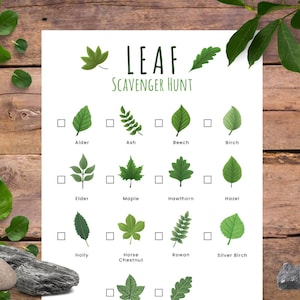 Leaf Scavenger Hunt for Kids - INSTANT DOWNLOAD