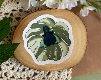 Beetle on Monstera Leaf Sticker: Matte Vinyl Naturecore Bug