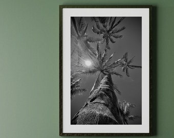 Impresión de palmeras, arte de pared de playa tropical Palmera imprimible, impresiones de playa en blanco y negro Palmera Impresión de playa tropical Arte de pared de palmeras