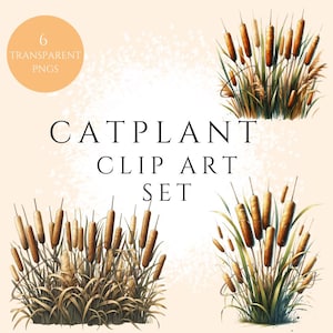 Ensemble de cliparts quenouilles, téléchargement numérique par sublimation, roseau des marais de quenouilles Png, lot de cliparts herbes folles, conception de journal de scrapbooking