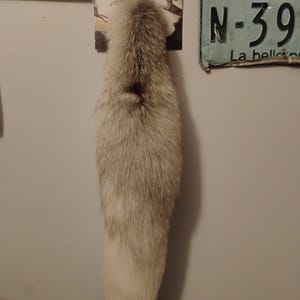 Op de afbeelding: Een vossenstaart, voornamelijk lichtgrijs met een witte punt, hangt aan een goudkleurige clip. De staart is pluizig en lijkt een natuurlijk bontproduct te zijn. De staart hangt aan een lichtgrijze muur.