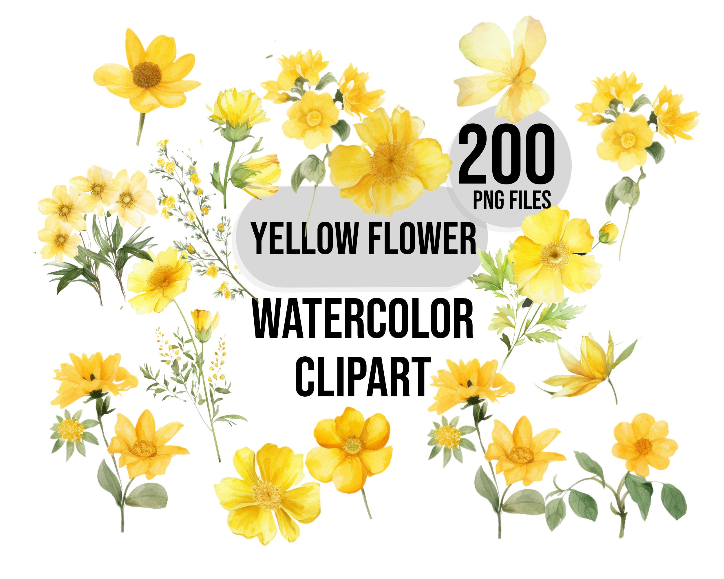 200 Yellow Flowers PNG Includes Elements Floral Rustic Printable