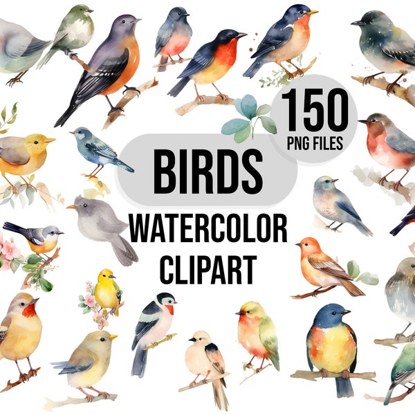 150, Watercolor Birds Clip Art, Colorful Birds Clipart, Spring Clipart, Bird Illustration, Digital PNG