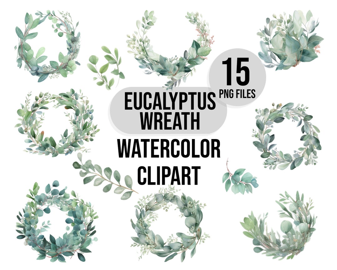 15 Eucalyptus Watercolor Clipart Elements, Wreaths, Green Clipart ...