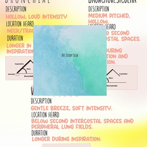 May include: A diagram illustrating the different types of normal lung sounds, including bronchial, bronchovesicular, and vesicular. Each diagram shows the intensity, pitch, and duration of the sound during inspiration and expiration.
