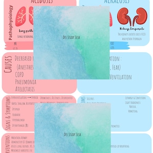 May include: A pink and blue infographic explaining the differences between respiratory acidosis and alkalosis. The infographic includes illustrations of the lungs and kidneys, as well as text describing the causes, signs and symptoms, and nursing interventions for each condition.