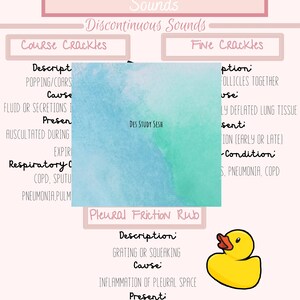 May include: A diagram explaining abnormal lung sounds, including coarse crackles, fine crackles, and pleural friction rub. The diagram includes descriptions of the sounds, their causes, and when they are present. The diagram also includes a cartoon of a yellow rubber ducky.