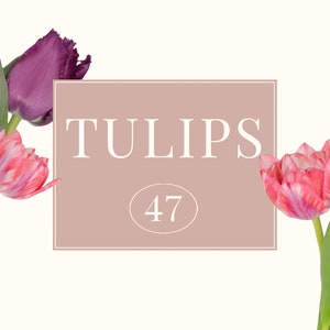 Echte Tulpen Clipart Bundle - Blumengrafik - Greenery Element - Digital Download - Echte Pflanze PNG - Rosa Blumen Download