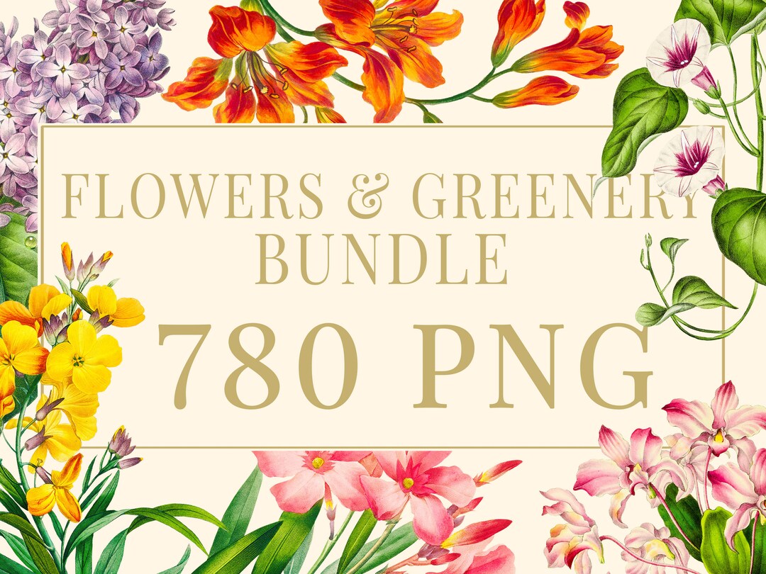 Flower Clipart Bundle 780 Watercolor Png Graphics Digital Download