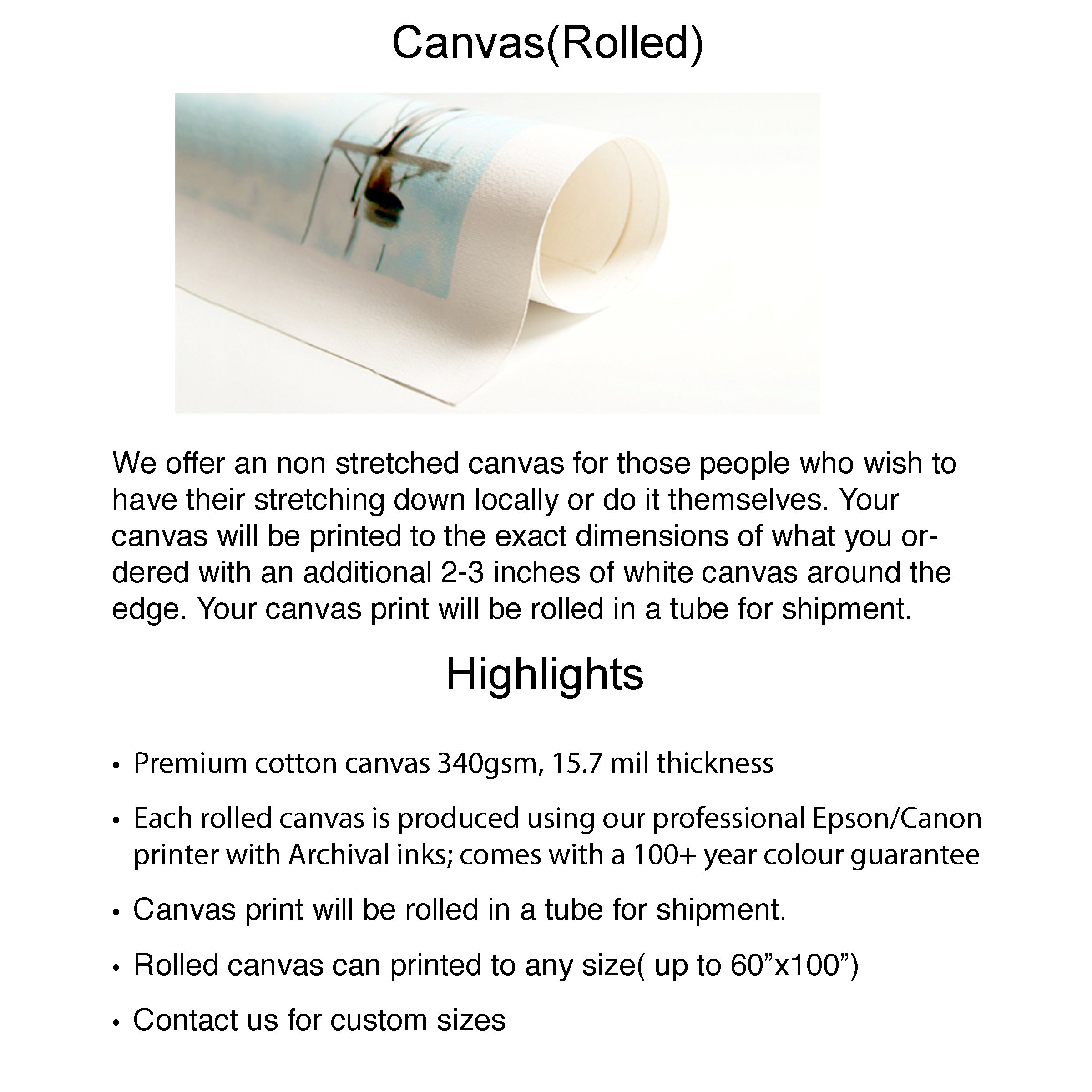 ヴォルテール＝サルバドール・ダリの見えない胸像が現れる奴隷市場