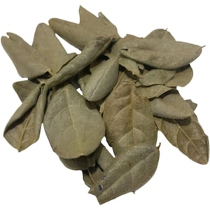 Boldo Dried Cut Leaves 4oz, whole Boldo Leaf, 100% Natural Detox, Hojas De Boldo, Peumus Boldus Herbal Tea , Boldo Tea , Packaged in The USA
