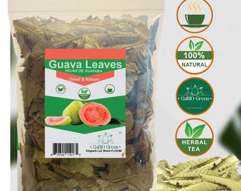 Natural Guava Leaves for Herbal Tea