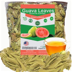 Dried whole Guava leaves Hojas de guayaba payta tea Natural Guava leaves Tea