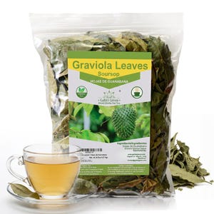Soursop Leaves 100% Natural whole Graviola leaves – hojas de Guanabana for Herbal Tea