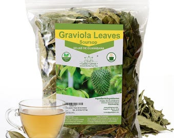 Soursop Leaves 100% Natural whole Graviola leaves – hojas de Guanabana for Herbal Tea