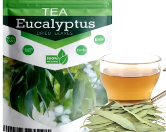 Feuilles entières d'eucalyptus, herbes naturelles