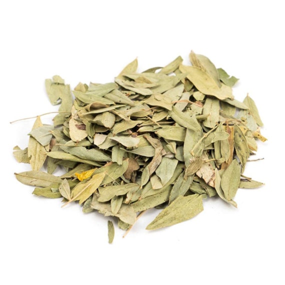 Hoja Sen Natural Senna Leaves Natural Vegetable Laxative Hoja Etsy
