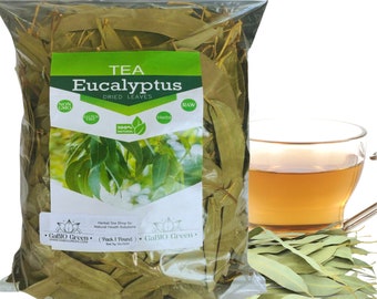 Feuilles entières d'eucalyptus pour le thé, herbes naturelles