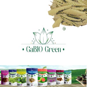 Guava leaves Hojas de guayaba Natural Guava leaves Tea, Gabiogreen Natural