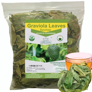 Premium Graviola Leaves Hand Grown to Ensure Superior Flavor & Quality hojas de guanabana seleccionadas