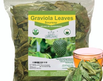 Feuilles de corossol entières 100 % naturelles Feuilles de graviola entières - Hojas de Guanabana pour tisane