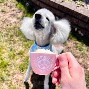 Reusable Pup Cup / Custom Puppuccino Mug / Personal Puppucino Cup / Custom Pup Cup / Dog Mom Gift / Mother's Day Gift / Puppy Gift