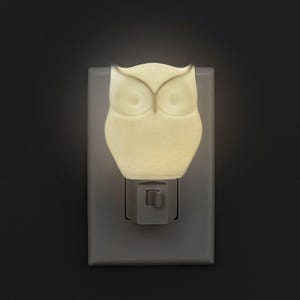 Owl Night Light Wall Plug-In | Cozy Bird-Inspired Nightlight for Nature Lovers & Cottagecore Enthusiasts | Unique Home Decor