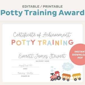 Editable Potty Training Award Certificate, Potty Training Award Printable, Certificate of Achievement Template, Instant Digital Download PDF