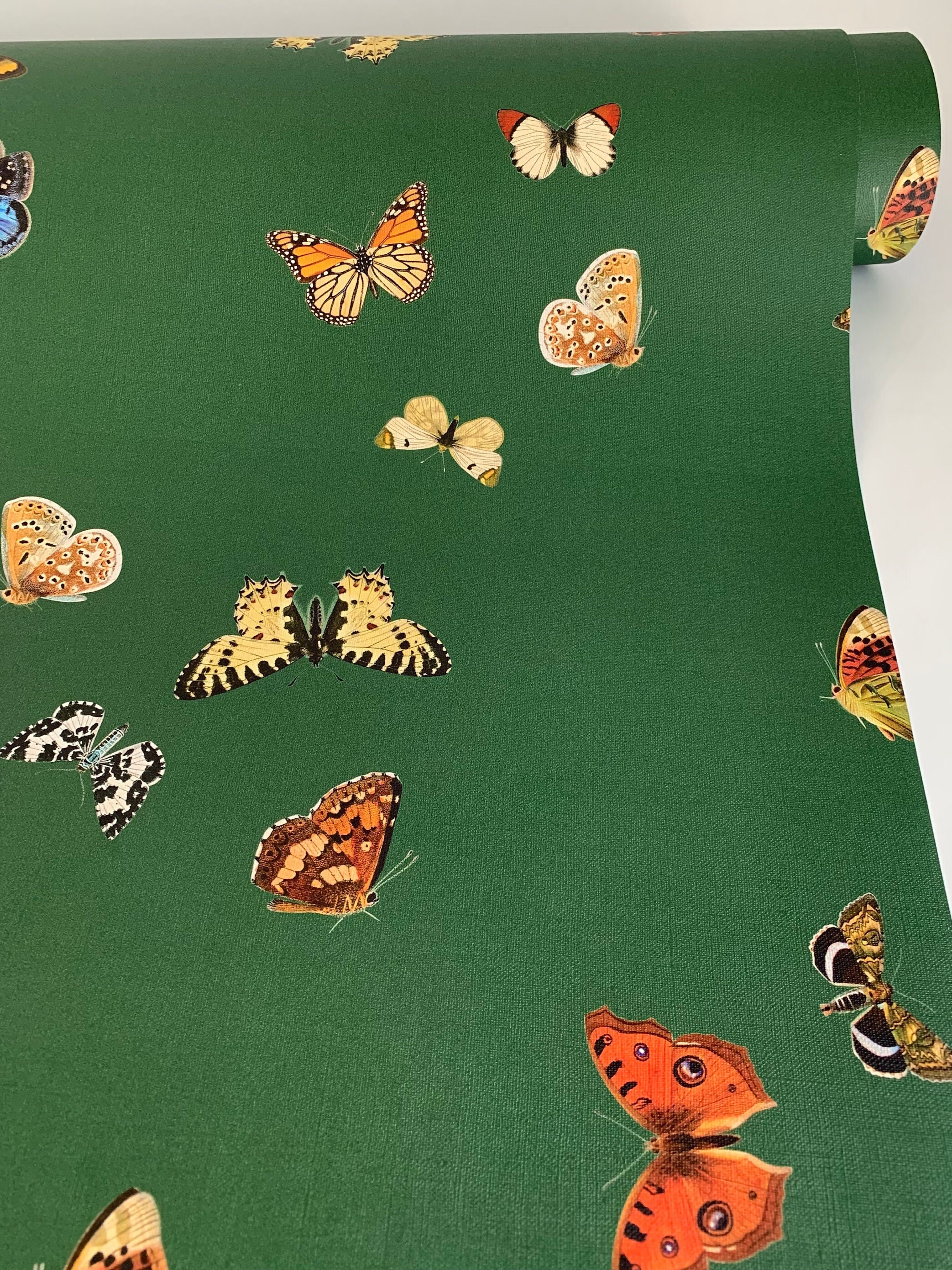 Green Peel and Stick Wallpaper Butterfly Wallpaper Etsy