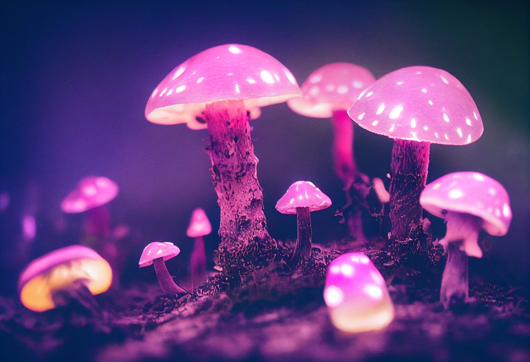 Pink Bioluminescent Mushrooms, Psychedelic Mushrooms, Neon Mushrooms