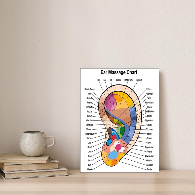 Ear Reflexology Charts Poster - Medical Poster - Vintage Poster - Wall ...