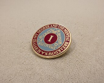 Ohio State Graduation Enamel Pin | Mental Health Recovery Chip | Degree Survivor | Academic Burnout Badge