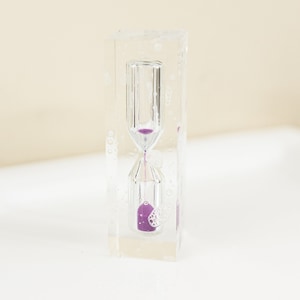 Hand Washing 30-Second Timer &quot;Grubby Buster&quot; (Grape)