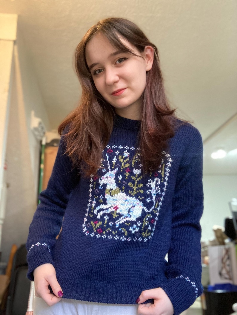 May include: A navy blue knitted sweater with a white unicorn and floral design.