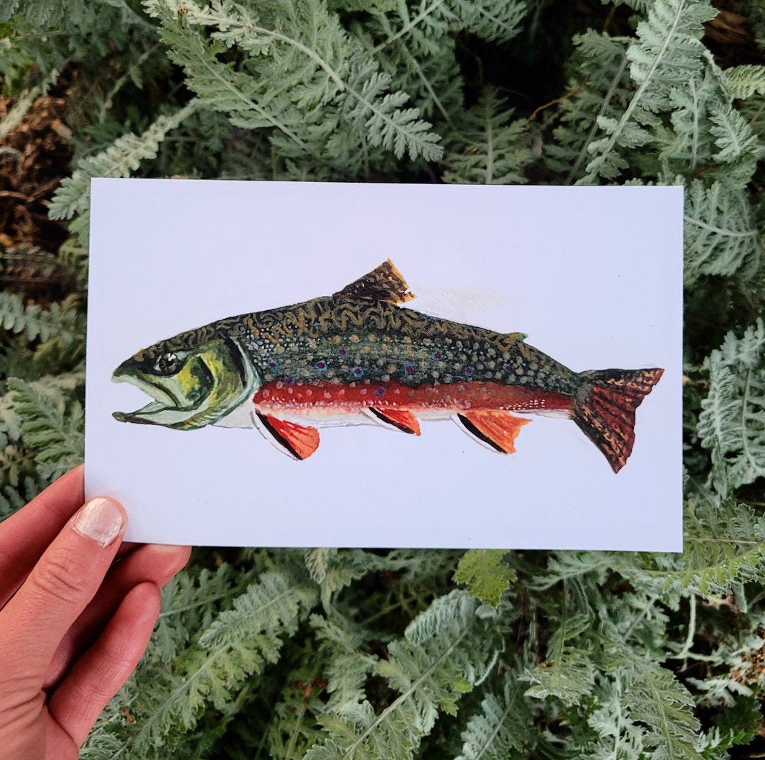 Brook Trout Art Print Etsy