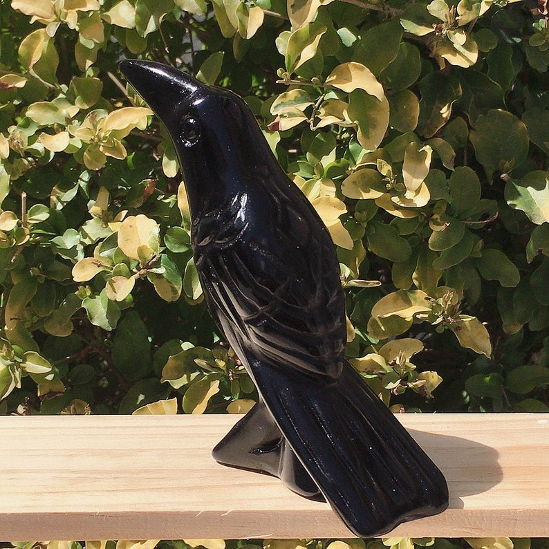 5''Natural Obsidian Carved Crow,Crystal Quartz Skull,Hand carving,Home Decor,Crystal healing,Halloween Gift 1PC zdjęcie 4