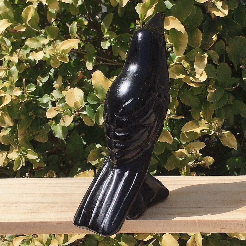 5''Natural Obsidian Carved Crow,Crystal Quartz Skull,Hand carving,Home Decor,Crystal healing,Halloween Gift 1PC zdjęcie 3