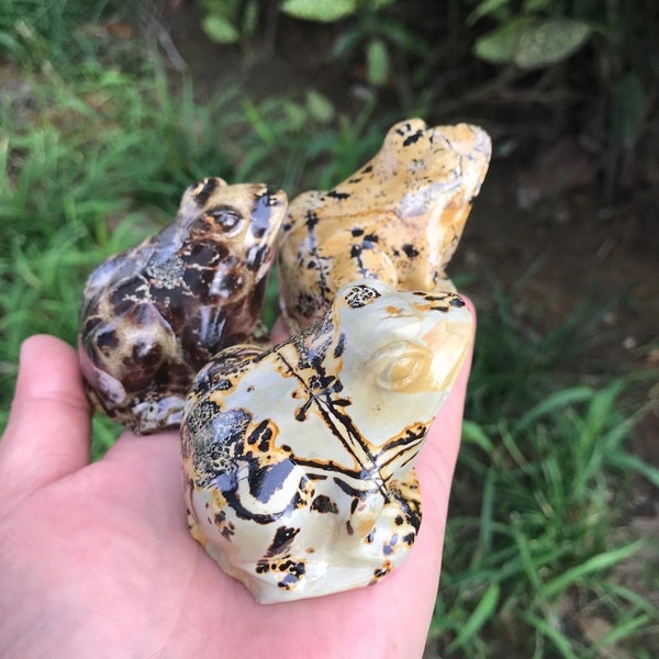 2.5"Natural  Picture jasper Carved Frog ,Crystal Quartz Skull,Hand carving,Home Decor,Crystal healing,Halloween Energy Gift 1PC